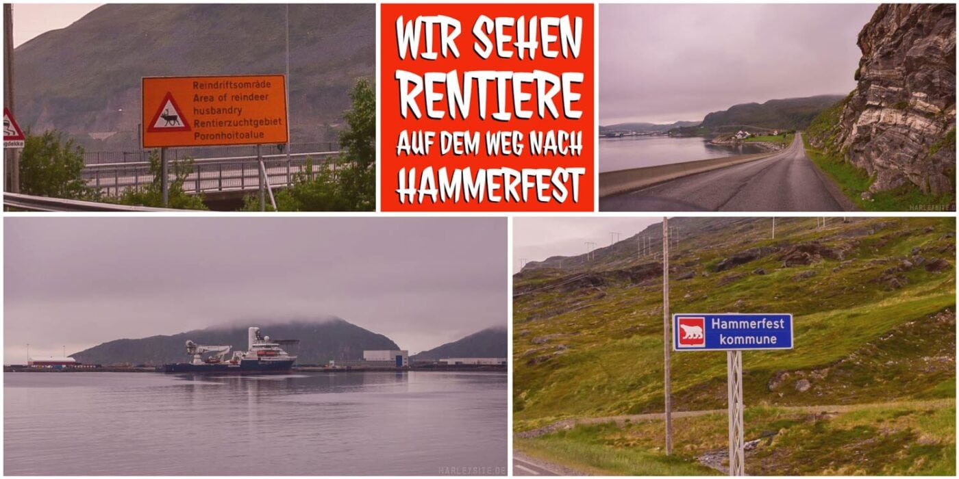 #8 Norwegen - Olderdalen | Hammerfest | Nordkap - More miles, More memories Ein Eisbär auf dem Schild von Hammerfest