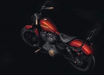 Harley-Davidson Sportster Customized