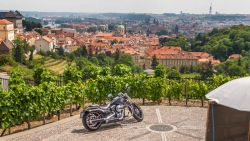 Harley Davidson Sport Glide 201804