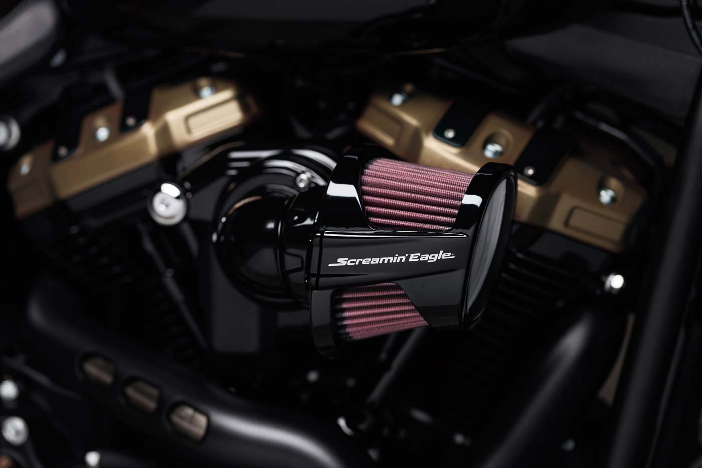 Bertl’s Harley-Davidson Bamberg und Gera haucht V-Twins mit amtlichem Segen noch mehr Kraft ein Professionelle Leistungsoptimierung bei Bertl’s Harley-Davidson Bamberg und Gera