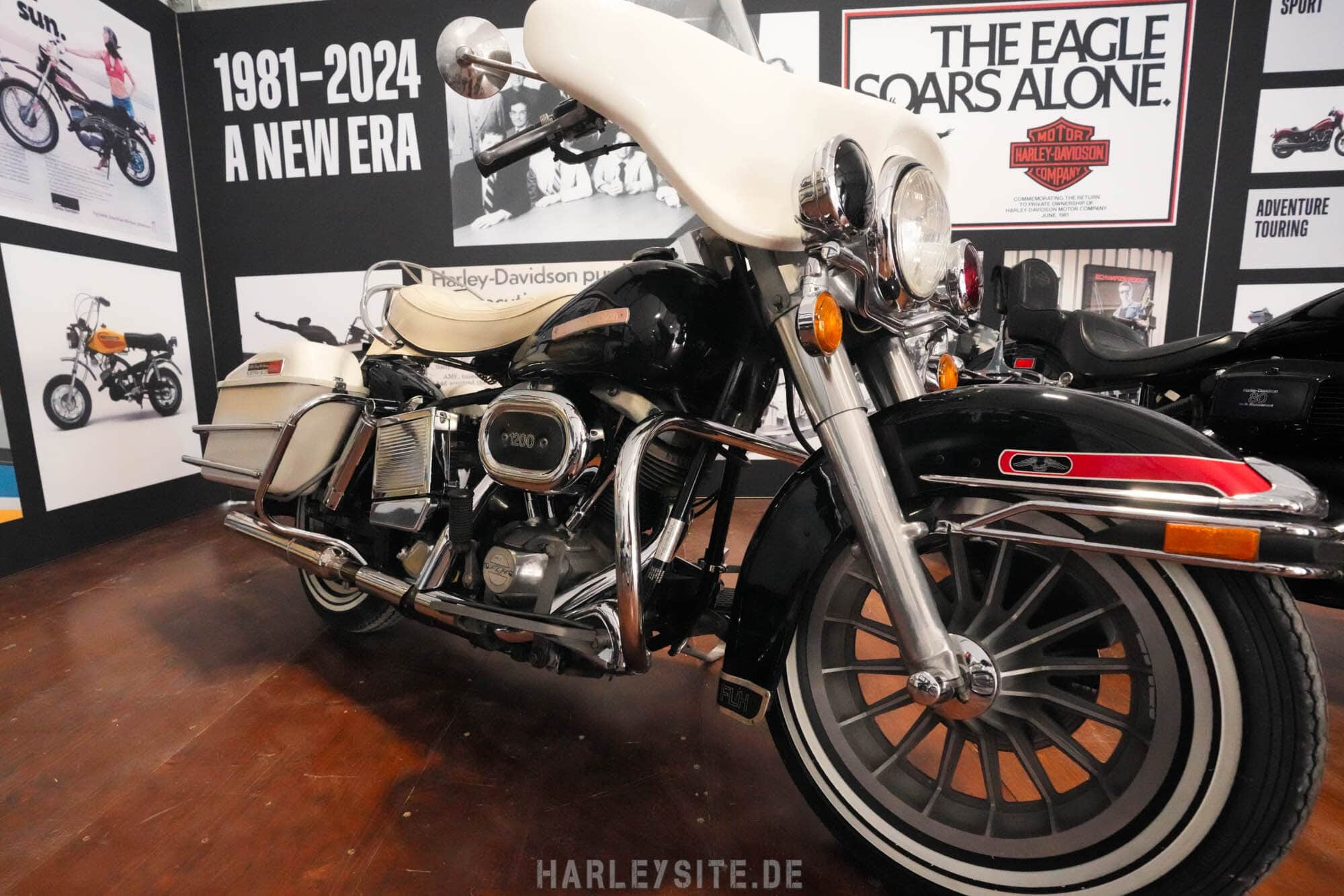 2024 HOG RALLY 2024 Senigallia Italien-014