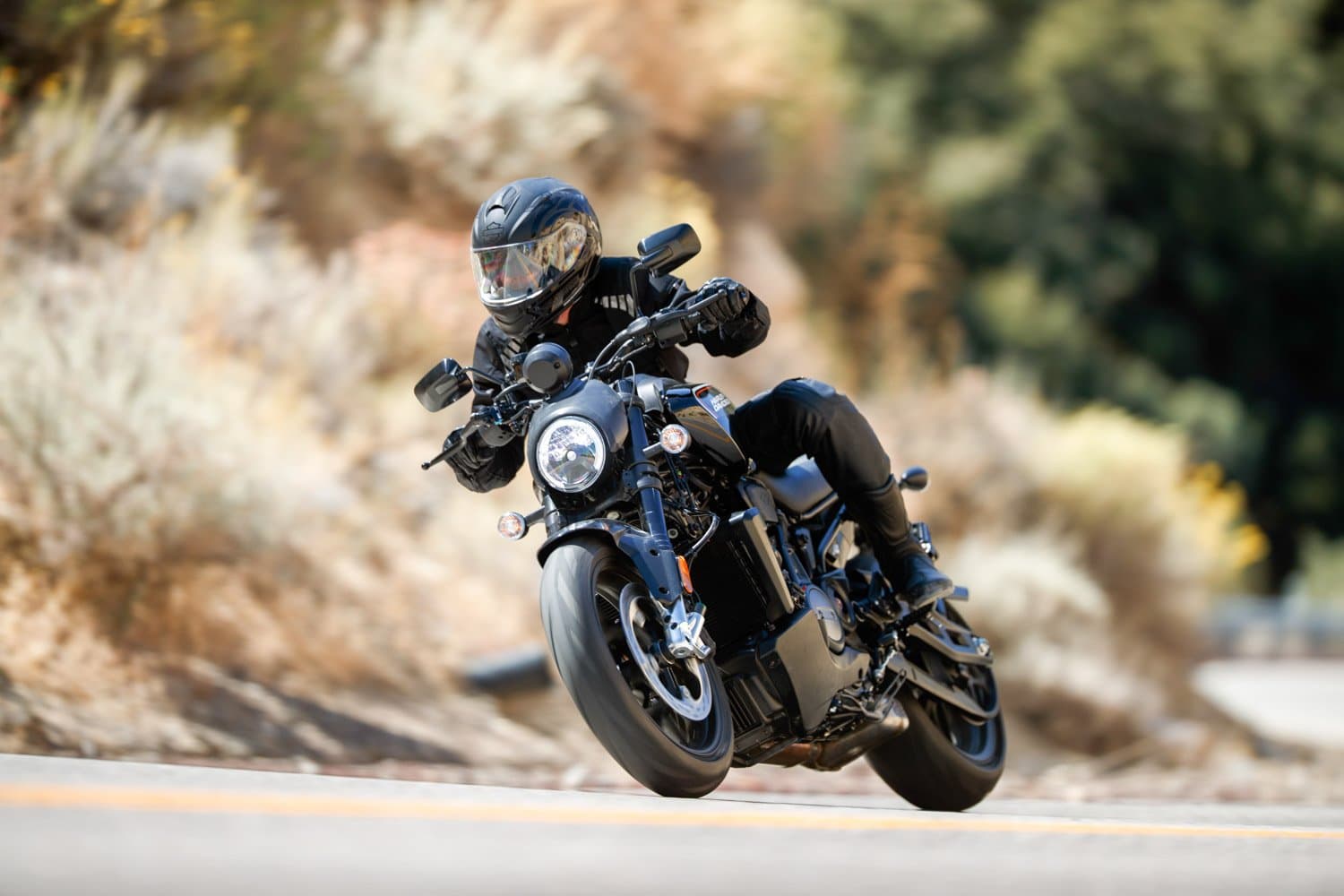 RA1250 Pan America 1250 / RS975 Bronx 975