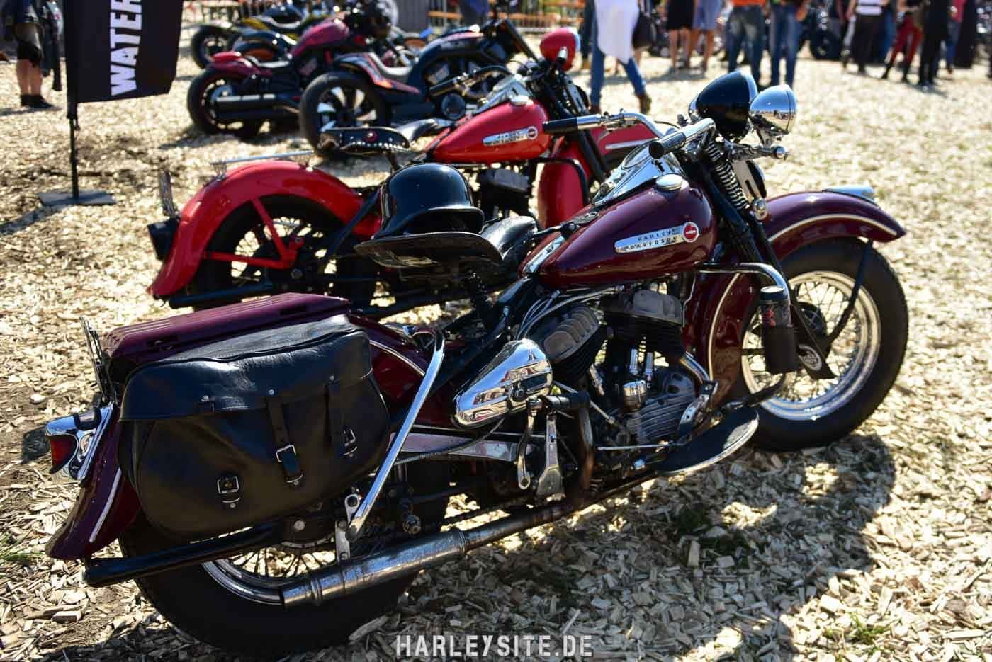 European Bike Week 74