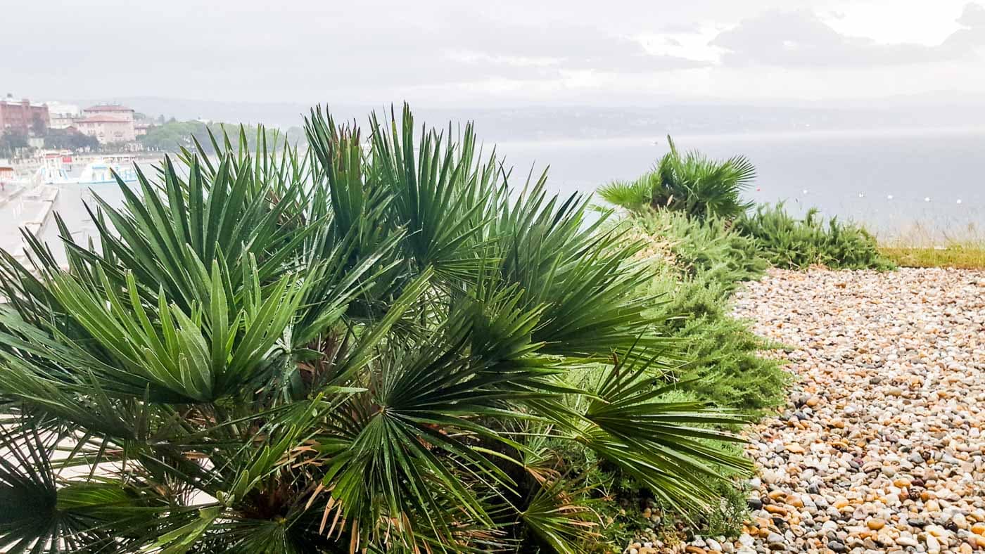 Harley Tour Nach Istrien (60 Von 90)