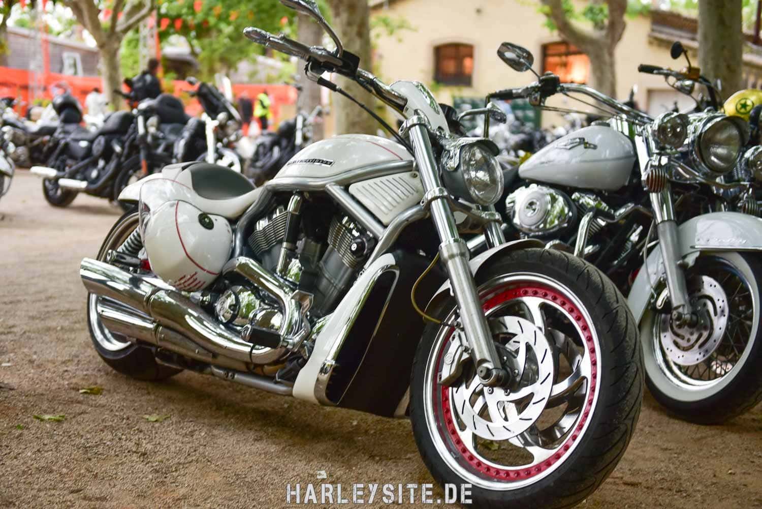 Saint-Tropez-Harley-Davidson-Event-0281