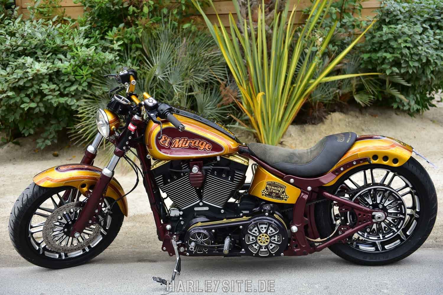 Saint-Tropez-Harley-Davidson-Event-8468