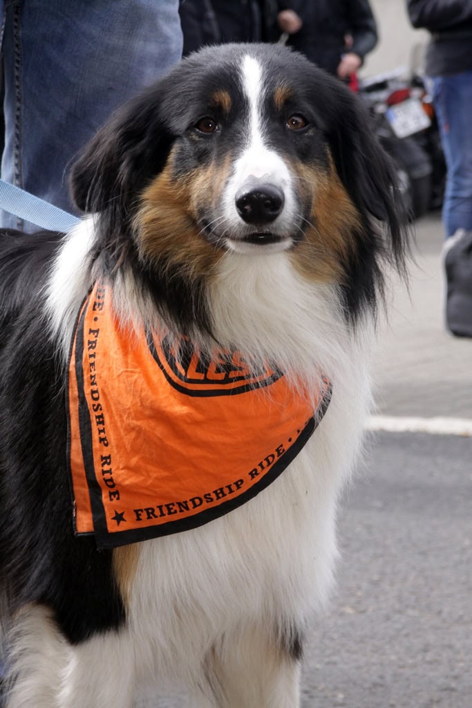 Friendship Ride Germany für den guten Zweck