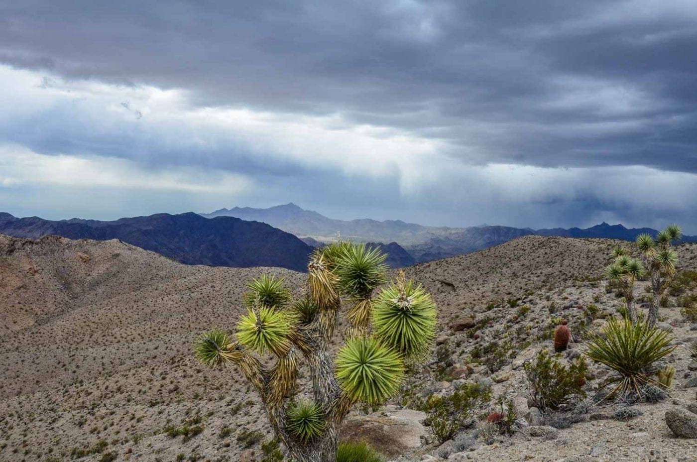 Teil 5 - USA Tour Story | Uns erwarten zwei Tage Las Vegas und der Grand Canyon Grand Canyon