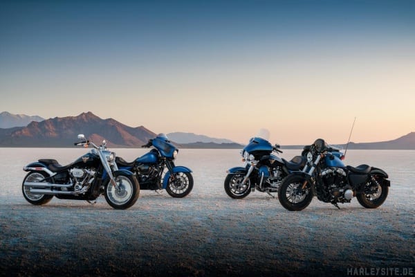 Forty-Eight Anniversary. Sportster.