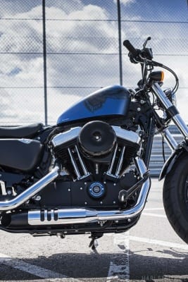 Forty-Eight Anniversary. Sportster