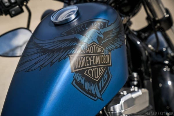 Forty-Eight Anniversary. Sportster