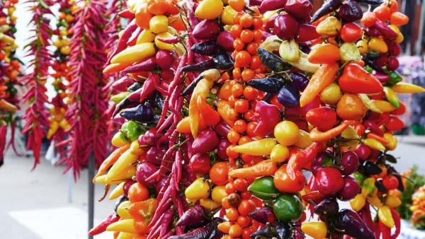 Mallorca Bike Week 2018