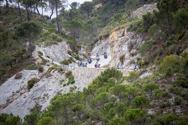 Who are the real bikers?