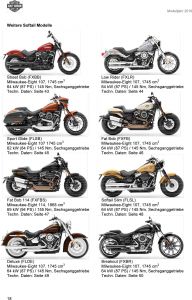The Softail models 2019 Softail 2019 1