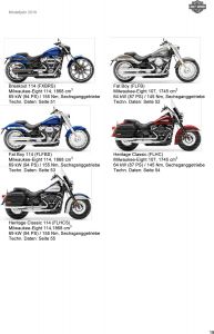 The Softail models 2019 Softail 2019 2