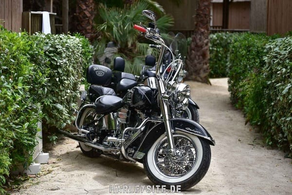 Euro Festival in Saint Tropez