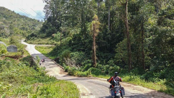 Die urbanen Wälder sind beeindruckend