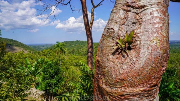 Teil 3 - Kuba Harley Tour nach Las Terrazas - Havanna