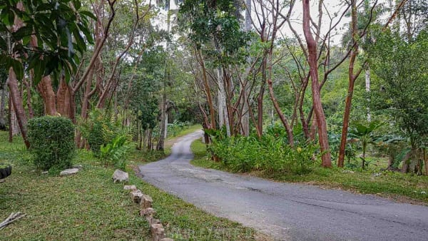 Teil 3 - Kuba Harley Tour nach Las Terrazas - Havanna