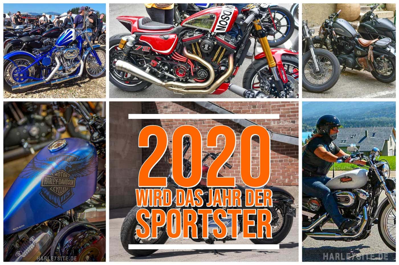 2020 wird das Jahr der Sportster