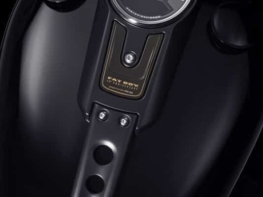 FAT BOY 3OTH ANNIVERSARY HARLEY-DAVIDSON MODELL