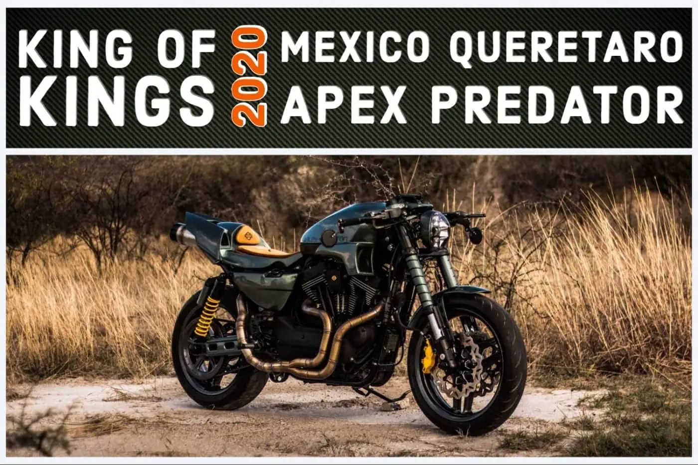 King of Kings Mexico Queretaro Apex Predator