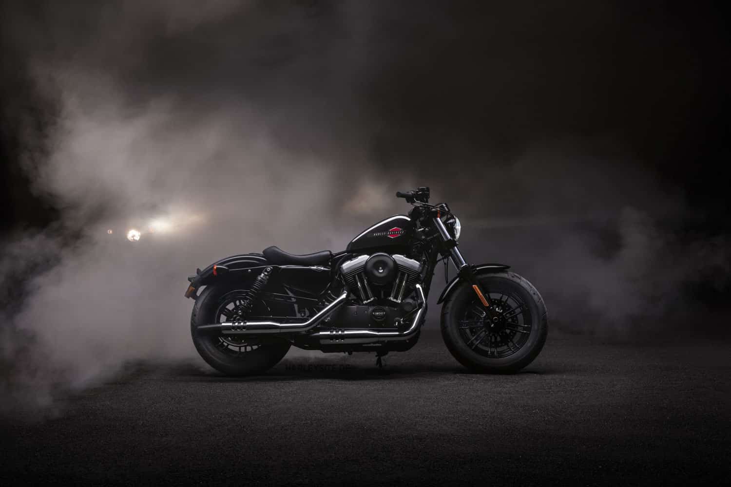 10 years Forty-Eight - Harleysite