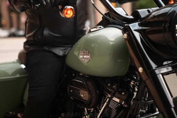 Emblem Road King Special 2021