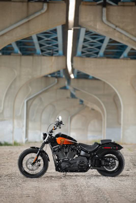 Harley-Davidson Street Bob 114 Modelljahr 2021