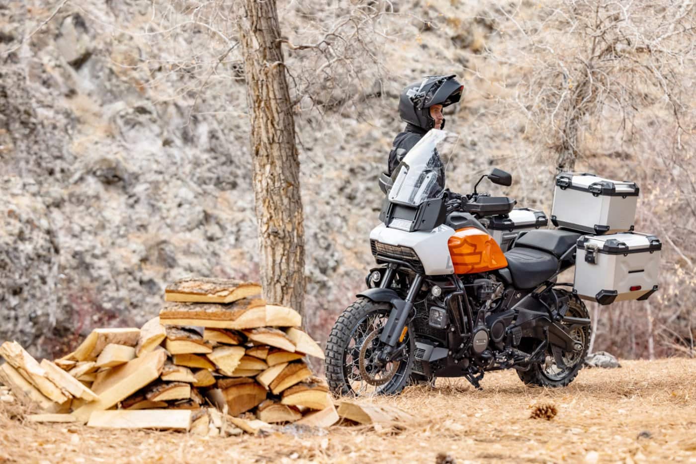 Pan America 1250 Special Harley-Davidson