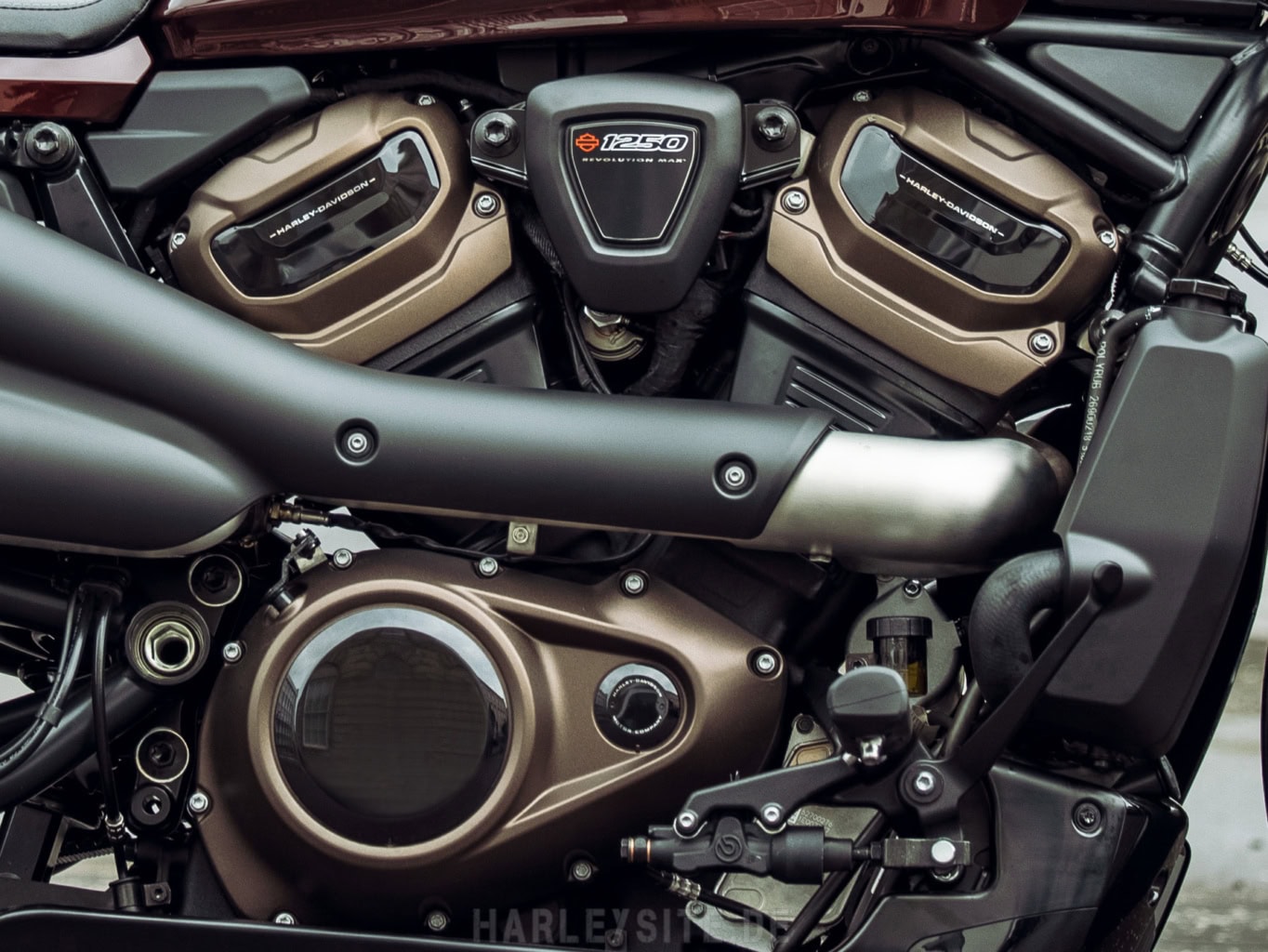 Harley-Davidson Sportster S Revolution Max Motor 16