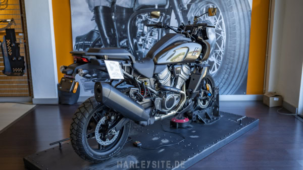 Review - 6th SKS-Reisen Algarve Run 2021