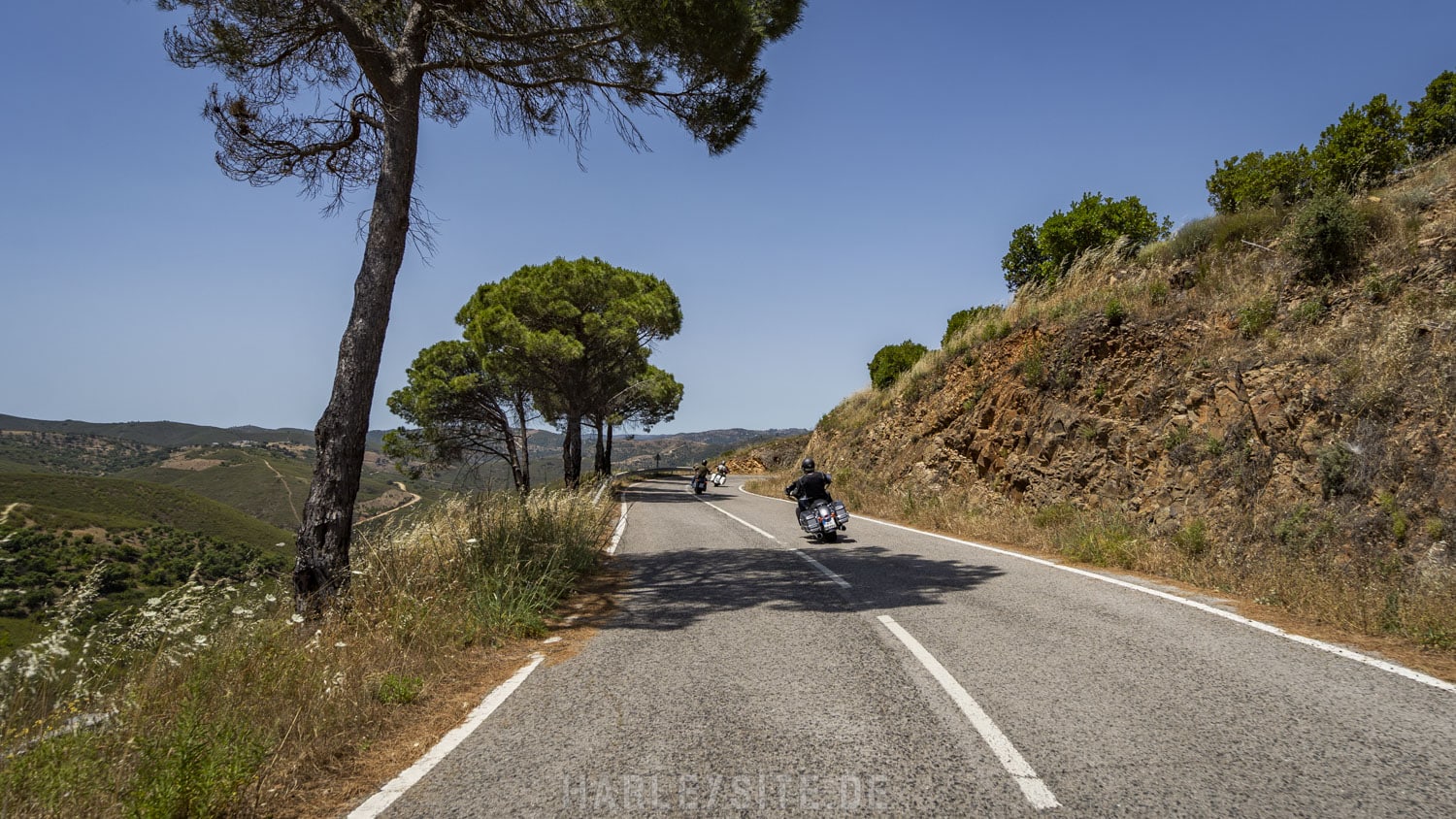 7TH ALGARVE RUN PORTUGAL IM MAI/JUNI 2022