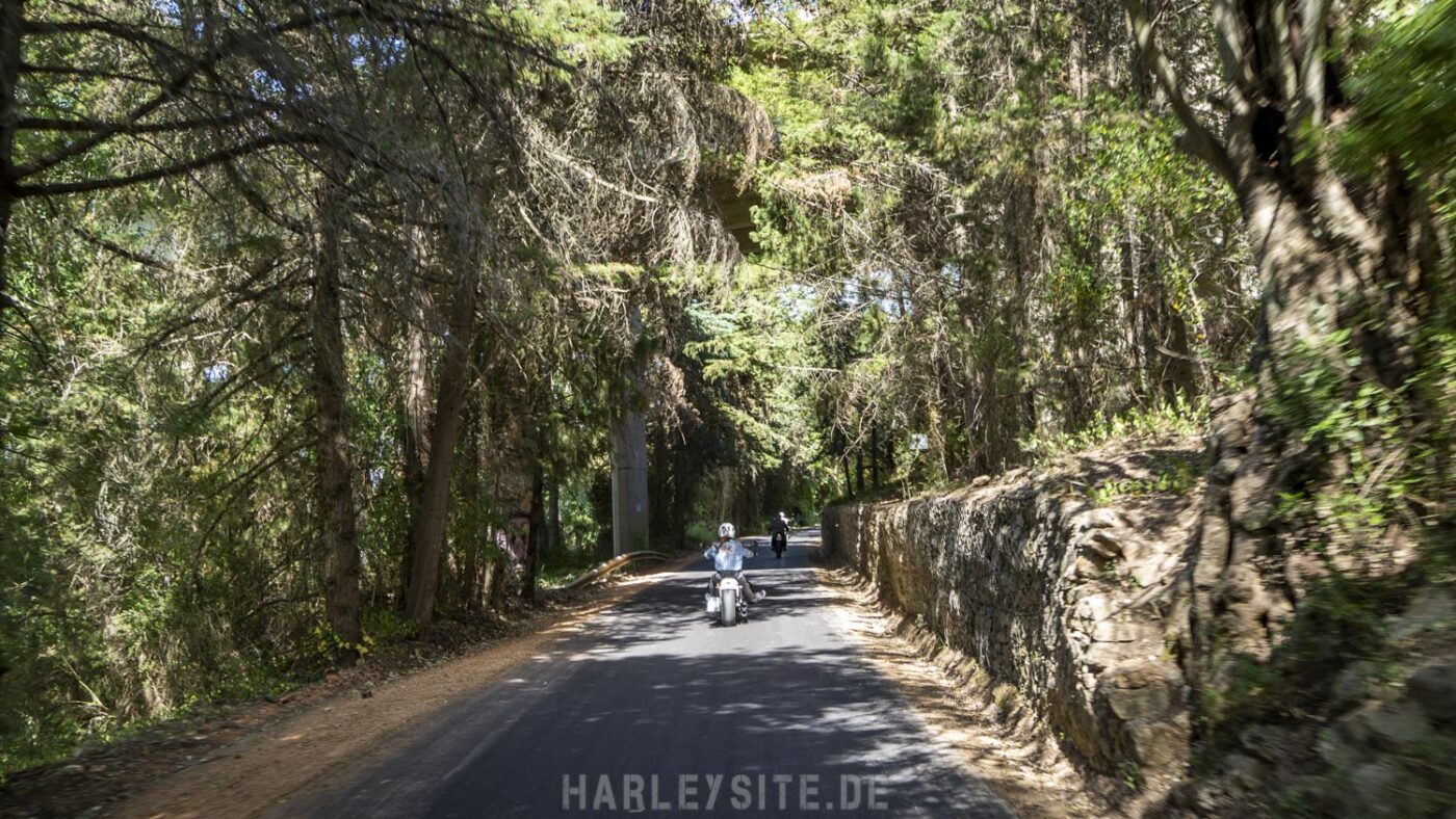 7TH ALGARVE RUN PORTUGAL IM MAI/JUNI 2022