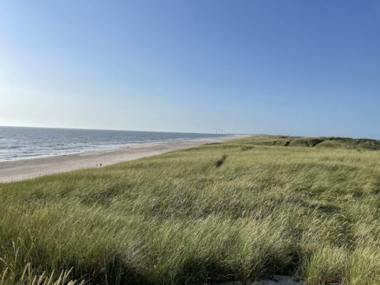 Der lange Sandstrand hinter dem Deich.
