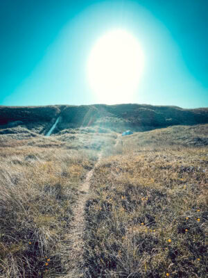 Der Weg auf den Deich