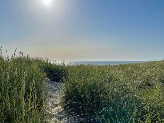 Der Deich und Ausblick auf die Nordsee