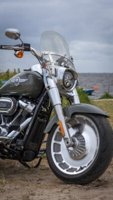 Am Ringkøbing Fjord