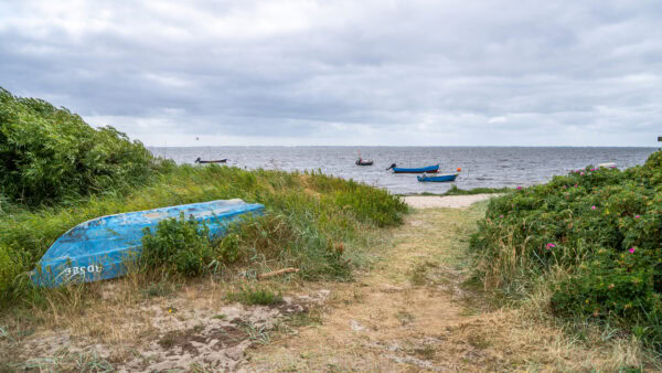 Am Ringkøbing Fjord