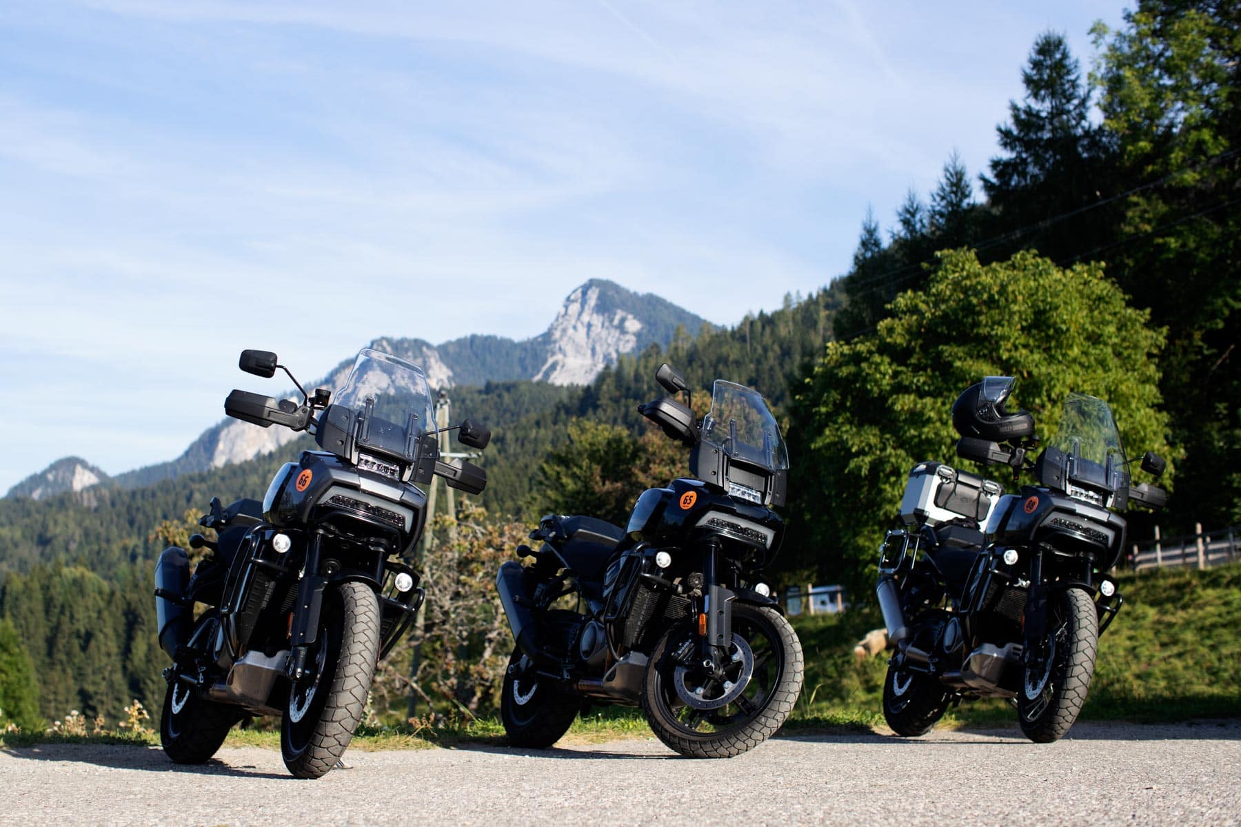 European Bike Week 2021 Harley Davidson