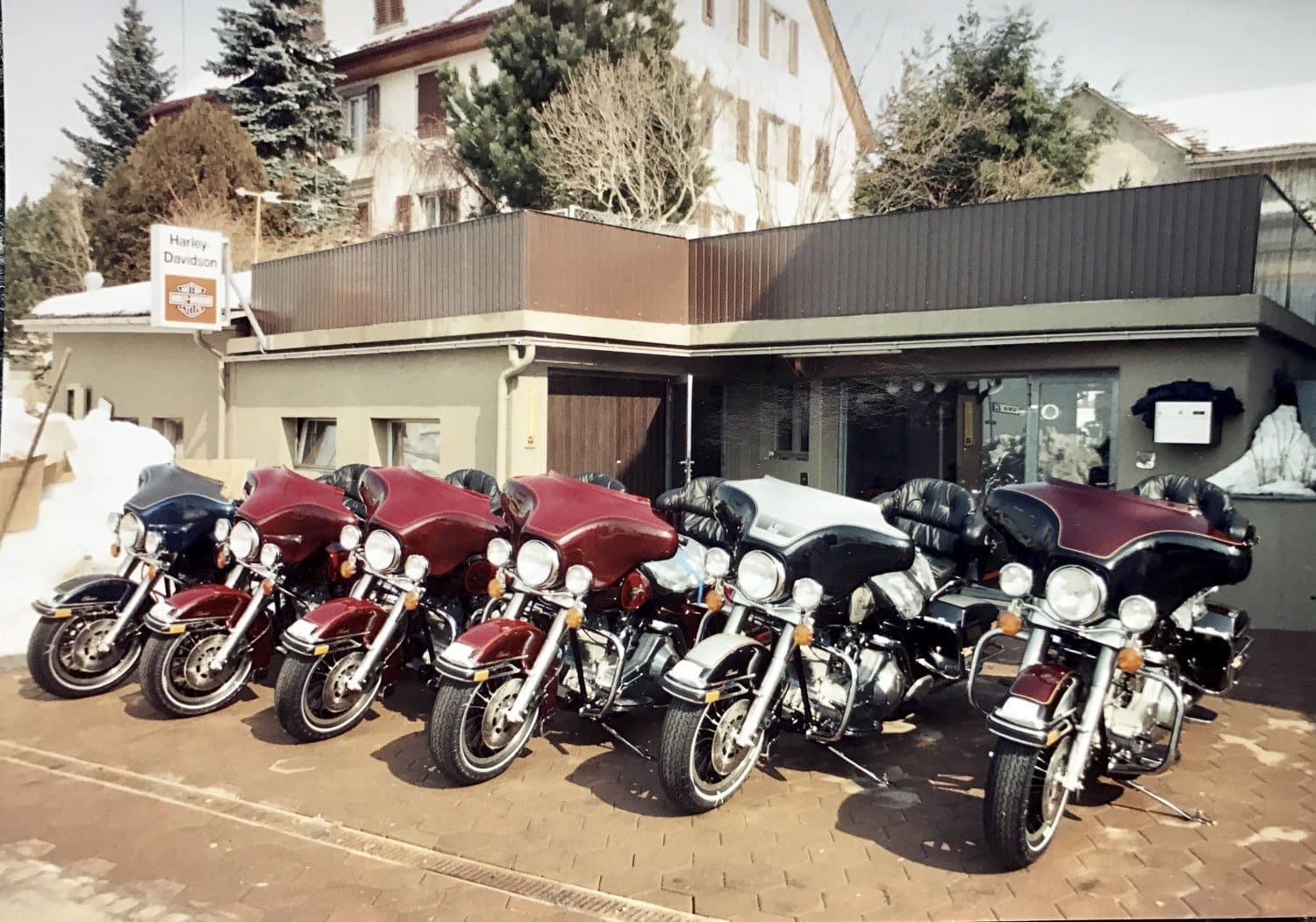 Baechli Harley Heaven Back to be "Wild"!