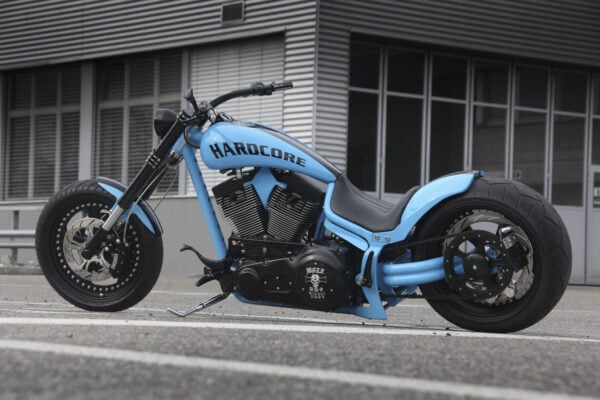 Baechli Harley Heaven Back to be "Wild"!