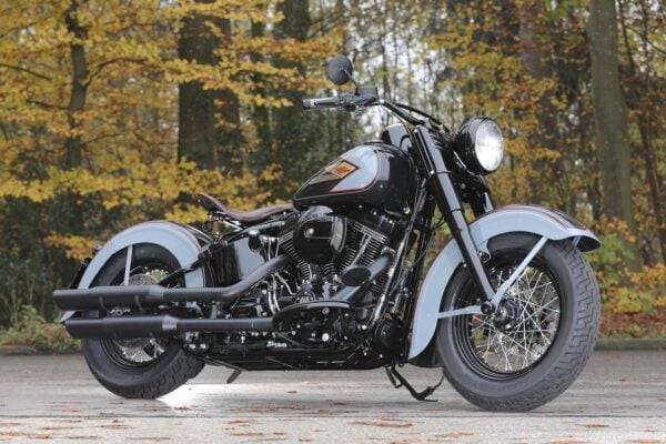 Baechli Harley Heaven Back to be "Wild"!