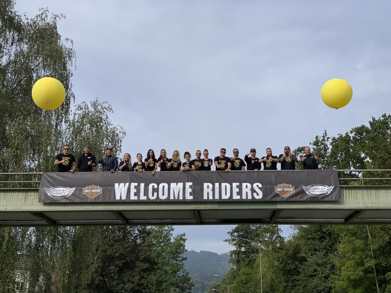 Baechli Harley Heaven Back to be "Wild"! Baechli Harley Heaven Back to be "Wild"!