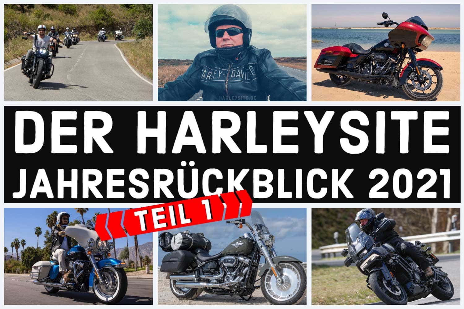 Blog - The Harleysite 2021 Year in Review Part 1