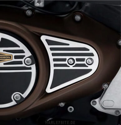 66 Collection Timer Medallion