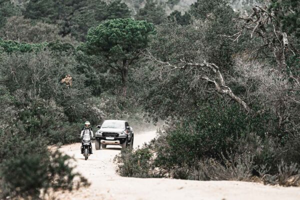 HARLEY-DAVIDSON® UND FORD SCHLIEßEN MOBILITÄTSPARTNERSCHAFT FÜR DAS JAHR 2022