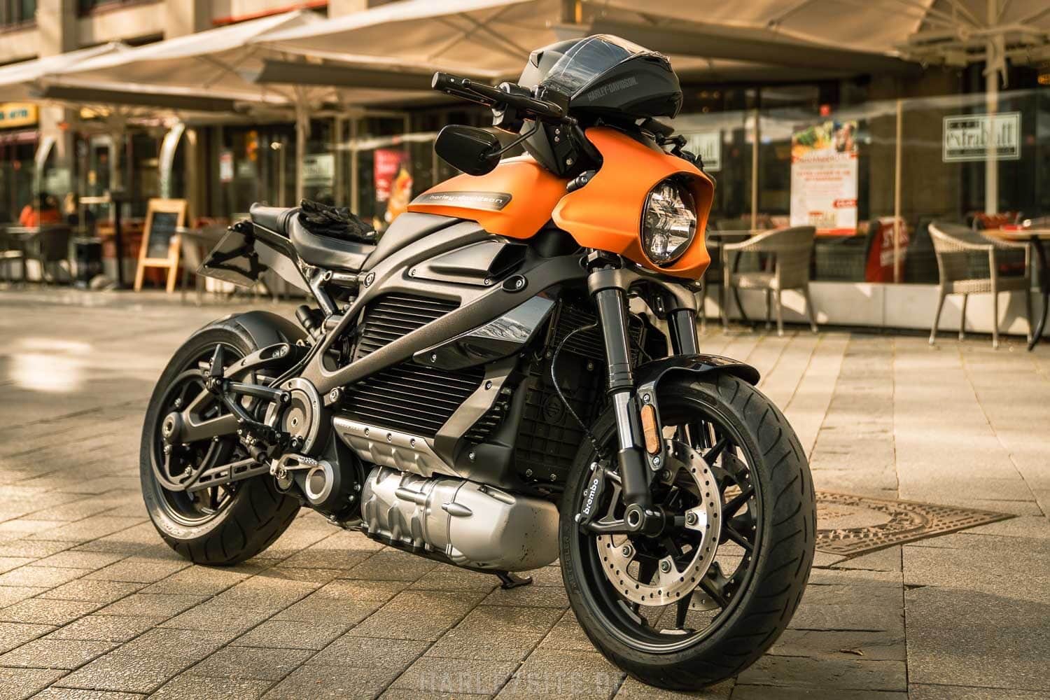 LiveWire Harley-Davidson Factory Group 2022