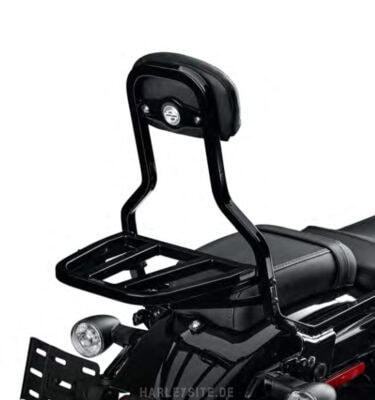 Sportster Nightster 2022 Sissy Bar Standard Hight Part: 52300700