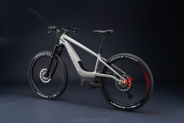 TECHNIK - SERIAL 1 SWITCH/MTN POWERED BY HARLEY-DAVIDSON